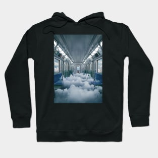 Passenger through life Hoodie